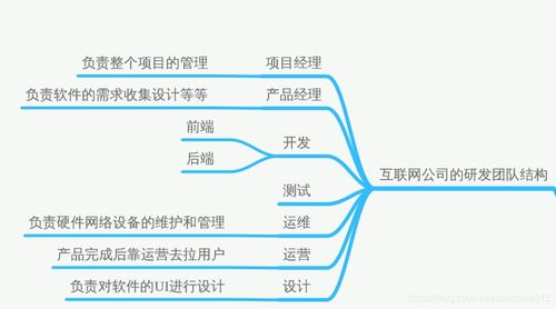 軟測基礎(chǔ) 測試流程詳細解釋